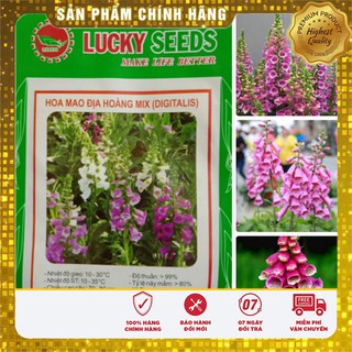 Hạt Giống Hoa Mao Địa Hoàng Lucky seeds chính hãng