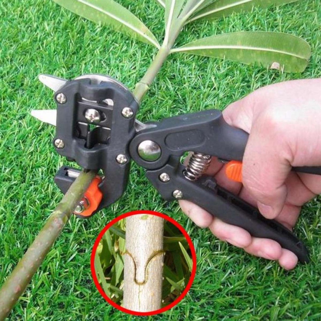 Kéo Cắt Cành Đa Năng - Kéo Cắt Ghép, Chiết Cây Tiện Lợi Trong Gia Đình