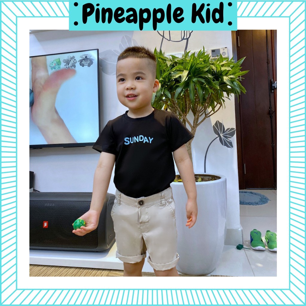 [Nhập ICLN8136 giảm 50%]Áo Thun Áo Phông Cho Bé Trai Bé Gái Cotton Đẹp Thoáng Mát PineappleKid, cho bé (6 - 16 kg).