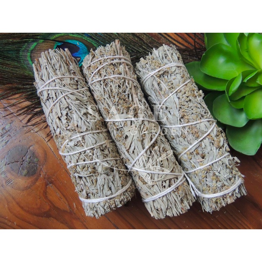 XÔ THƠM XANH _Thu hút tài lộc, may mắn_SAGE GARDEN