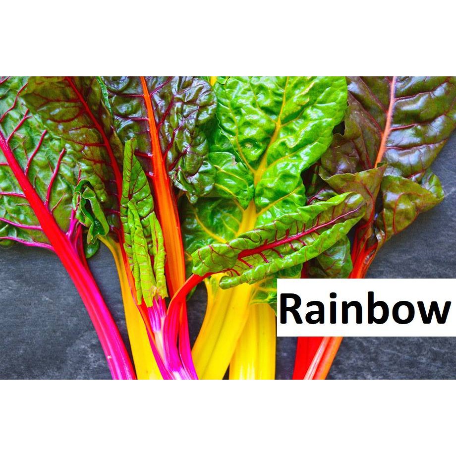 HẠT GIỐNG Cầu vồng Rainbow 200 hạt.