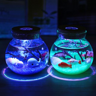 Bể cá cảnh giả hình tròn để bàn có đèn led