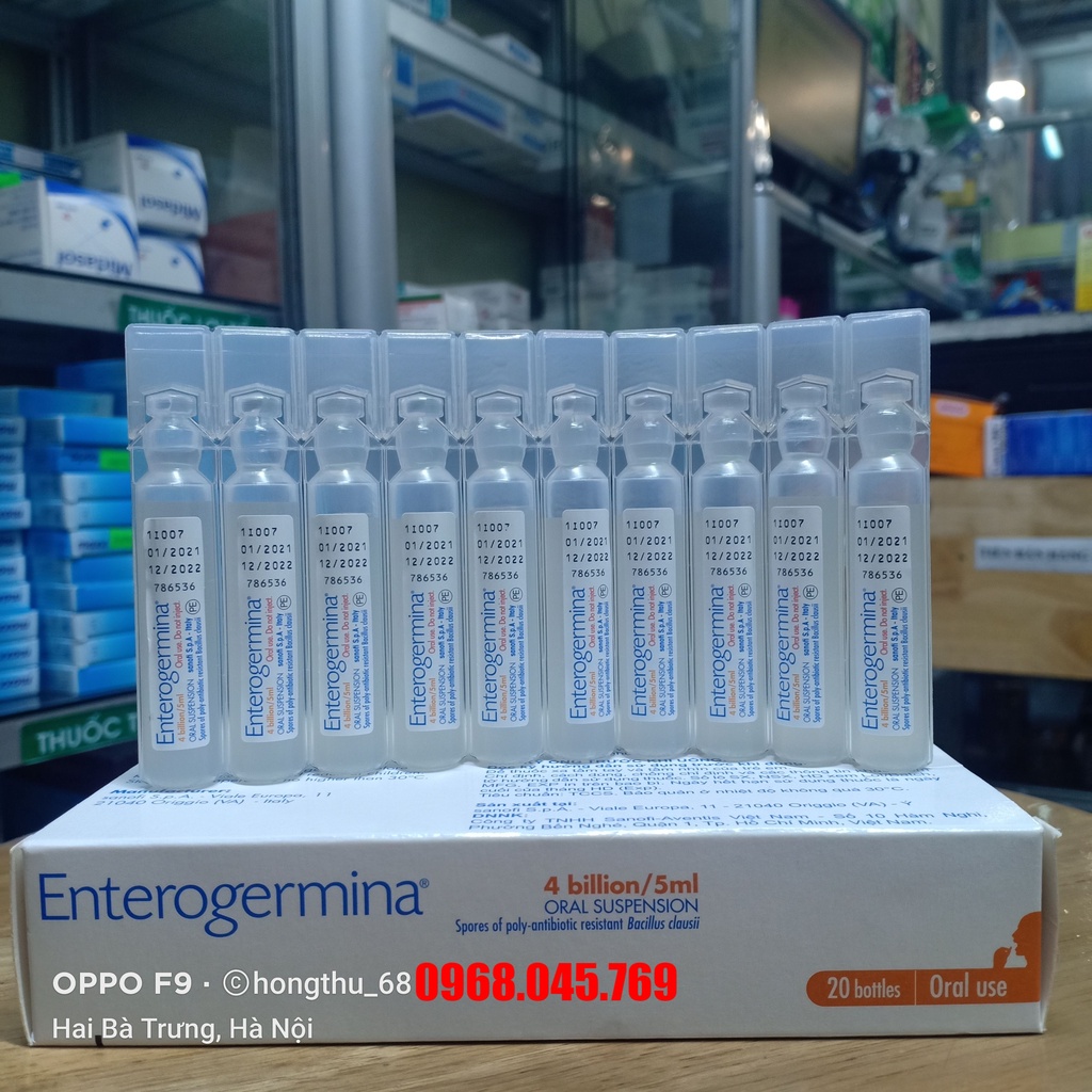 Men vi sinh Enterogermina chứa 4 tỉ bào tử Bacillus clausii mỗi ống 5ml