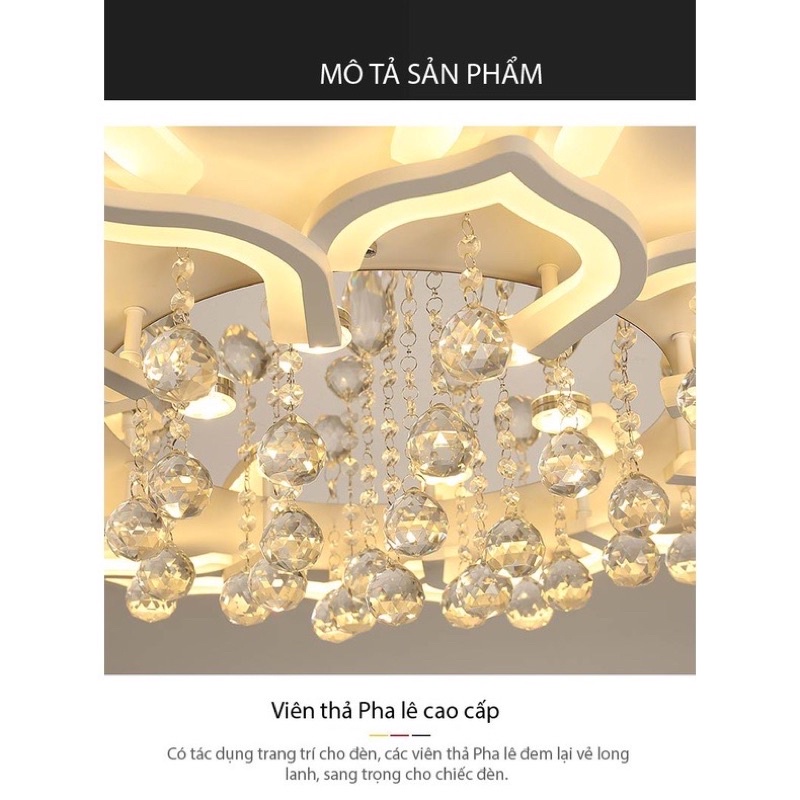 <Bộ Sen Pha Lê 5 Cánh chính hãng có bảo hành