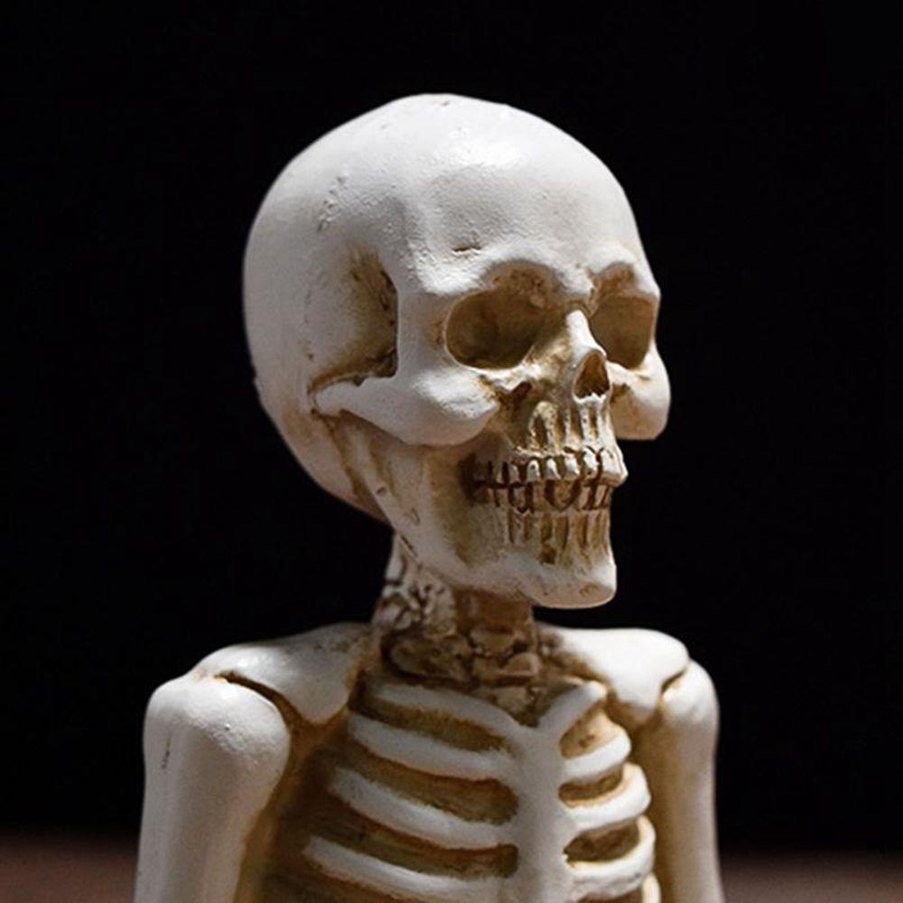 1 Mô Hình Đầu Lâu Trắng / Đen Bằng Nhựa Resin Trang Trí Halloween