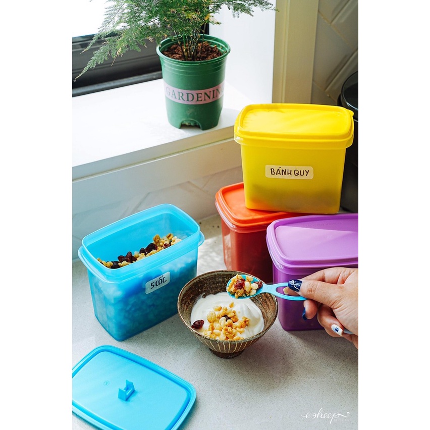 Set 4 Hộp gia vị có muỗng Shelf Saver with spoon 850ml Tupperware
