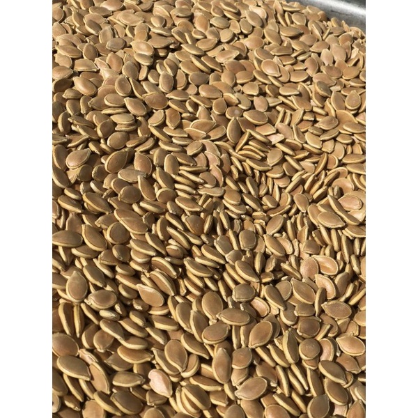 Hạt bí nhật trồng tại Đà Lạt.