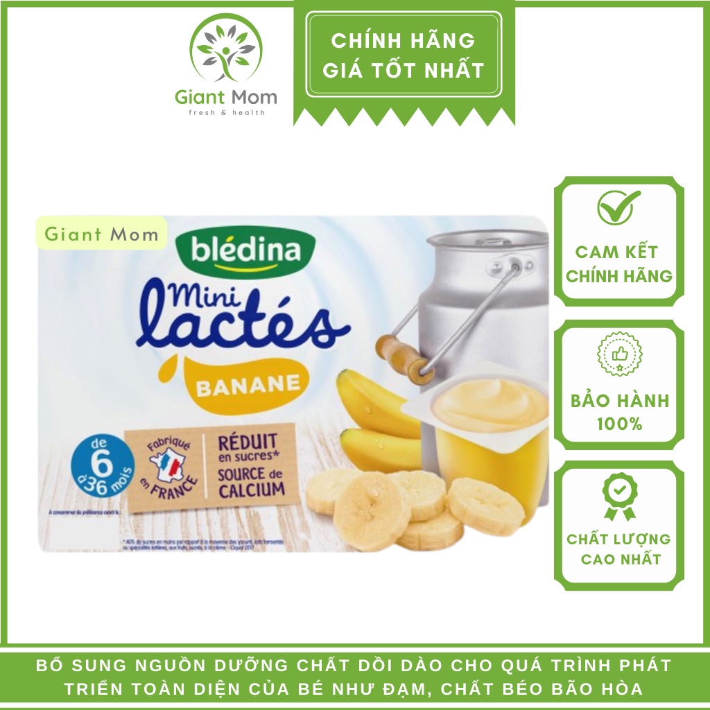 Sữa chua Bledina Pháp Giantmom - Sữa chua nguội Bledina Pháp vỉ 6 hộpx55g - Date xa