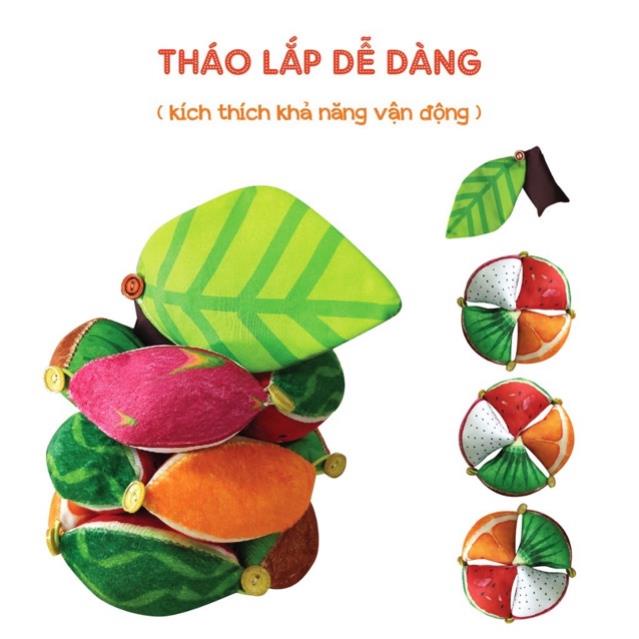 Bóng múi luyện chân - Bóng múi Montessori - Bóng múi phát triển đa giác quan cho bé