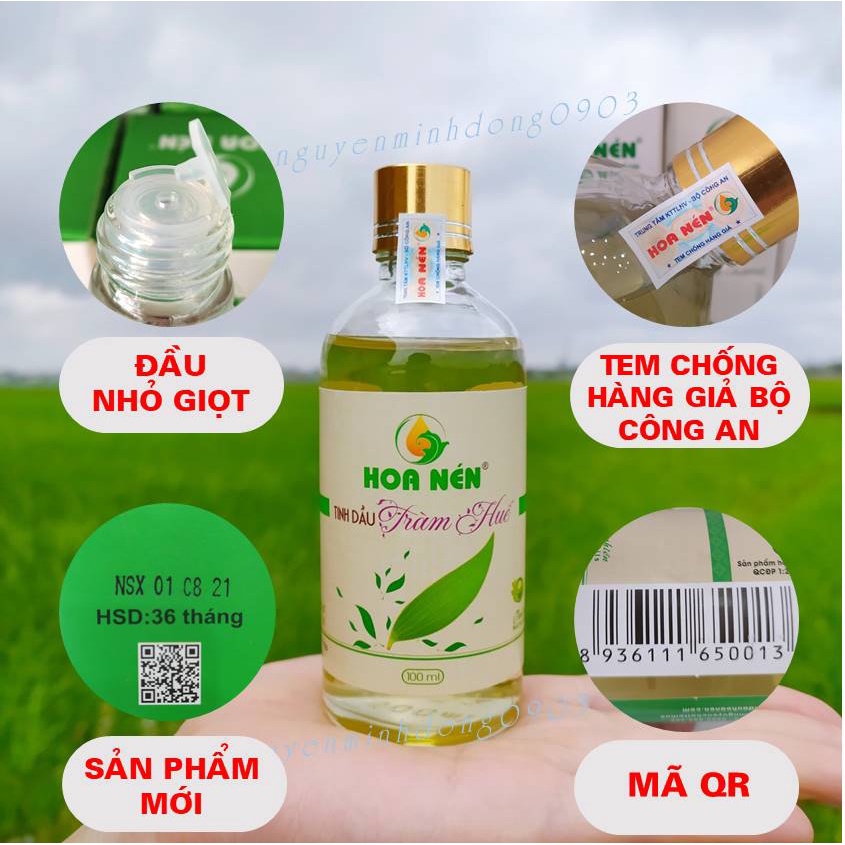 Tinh Dầu Tràm Huế Nguyên Chất 100ml - Tinh dầu tràm giúp giữ ấm, xông phòng hiệu quả