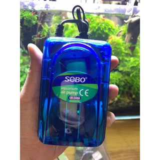 Sủi Oxy Sobo