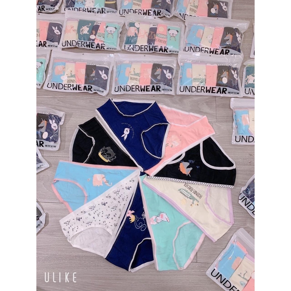 Quần lót nữ set 5 quần chip kute Underwear xuất dư chất cotton 4d co giãn thấm hút tôt