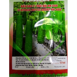 Hạt giống bầu sao F1 trái dài - gói 10 hạt