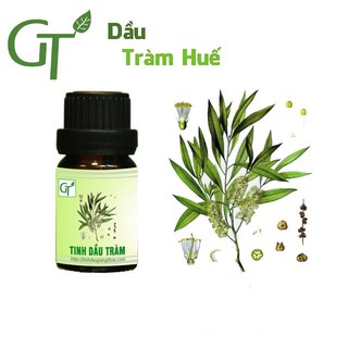 Tinh Dầu Tràm Huế Thiên Nhiên