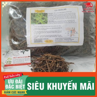 Cây Thuốc Dòi Khô 100g [ Hàng Công Ty Chất Lượng ]