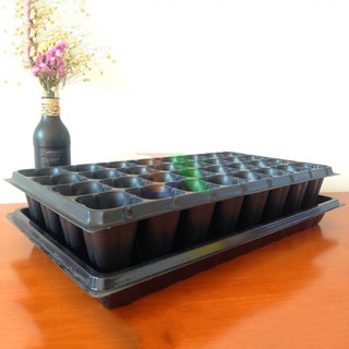 Bán Bộ 5 khay nhựa ươm hạt 32 lỗ chất lượng.