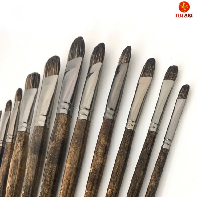 Bộ Cọ Lông Mềm Toro Golden Brush chuyên dụng vẽ Acrylic, Sơn dầu