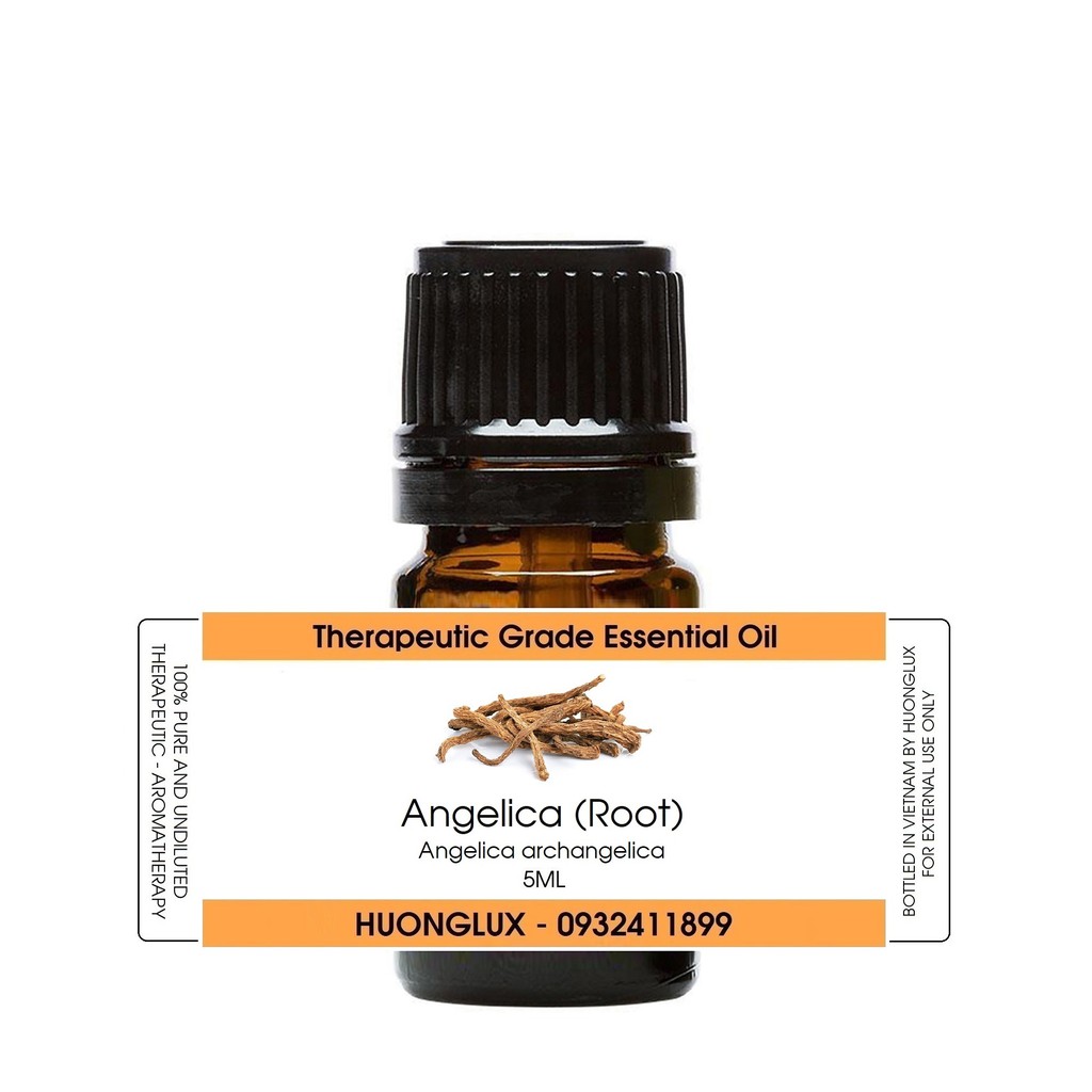 Tinh dầu rễ Bạch chỉ Angelica Root Essential Oil