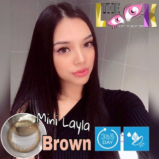 CONTACT LENS MÀU BROWN - NÂU HẠNH NHÂN - ÁP TRÒNG - SIÊU TỰ NHIÊN - CÓ ĐỘ