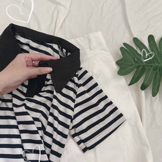Set áo thun + quần ngố kaki