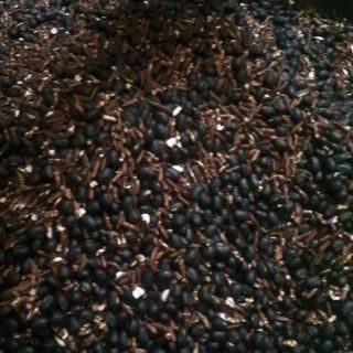Đỗ đen mix gạo lứt