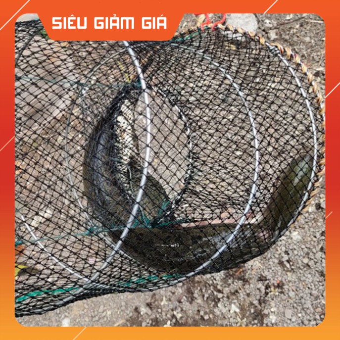 [Combo] [Combo] Lồng Bẫy Tôm, Cua, Cá Rọng bẫy Cua  [Giá rẻ] [Giá rẻ]