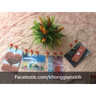 Combo 100 kẹp gỗ kẹp ảnh trang trí