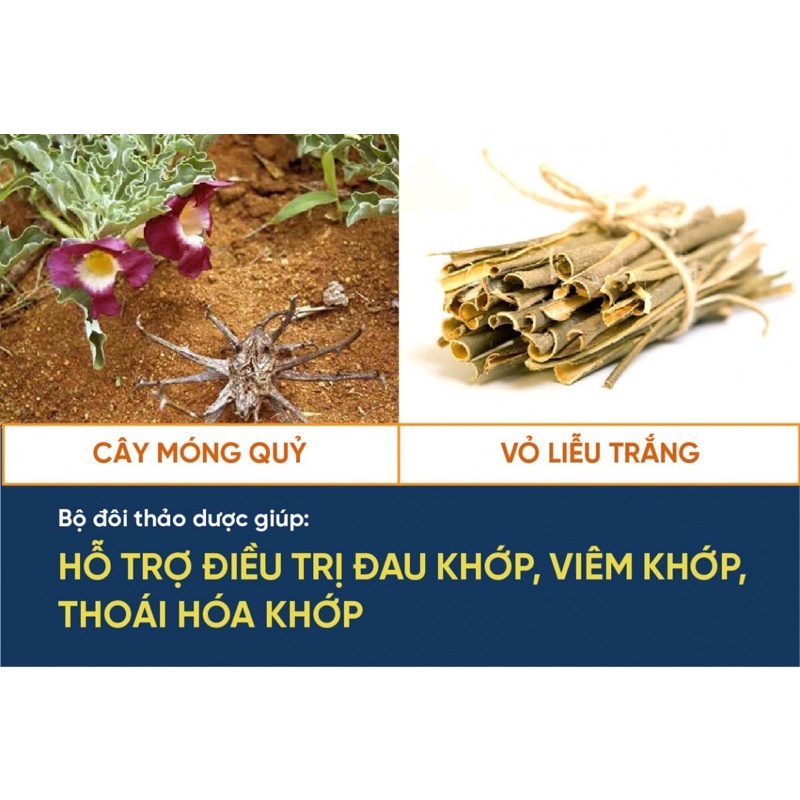 Viên xương khớp Vương Hoạt lọ 80 viên-Thực phẩm bảo vệ sức khoẻ