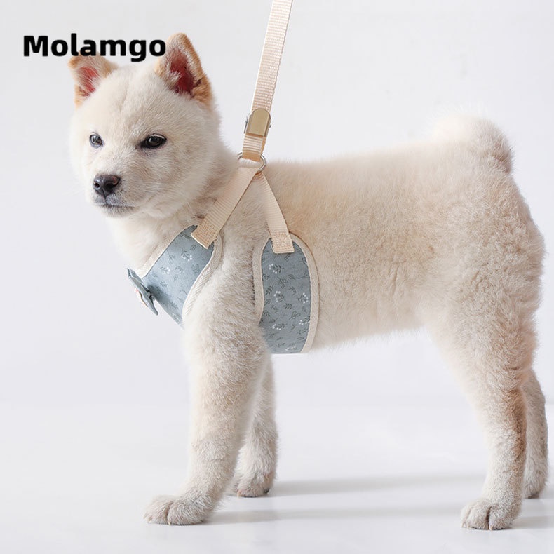 Áo Vest Đính Nơ Chuyên Dùng Dắt Thú Cưng Đi Dạo