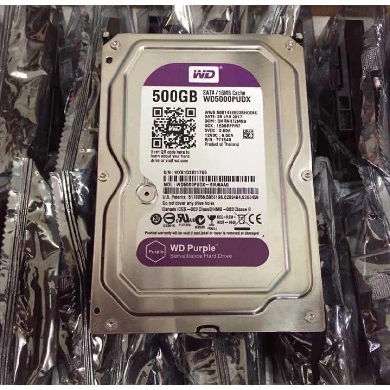 [Mã ELHAMS5 giảm 6% đơn 300K] Ổ cứng Western 500GB,1TB,2TB Purple chuyên dùng cho camera