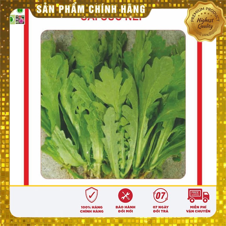 Hạt giống Cải Cúc 20gram [Bán Sỉ]