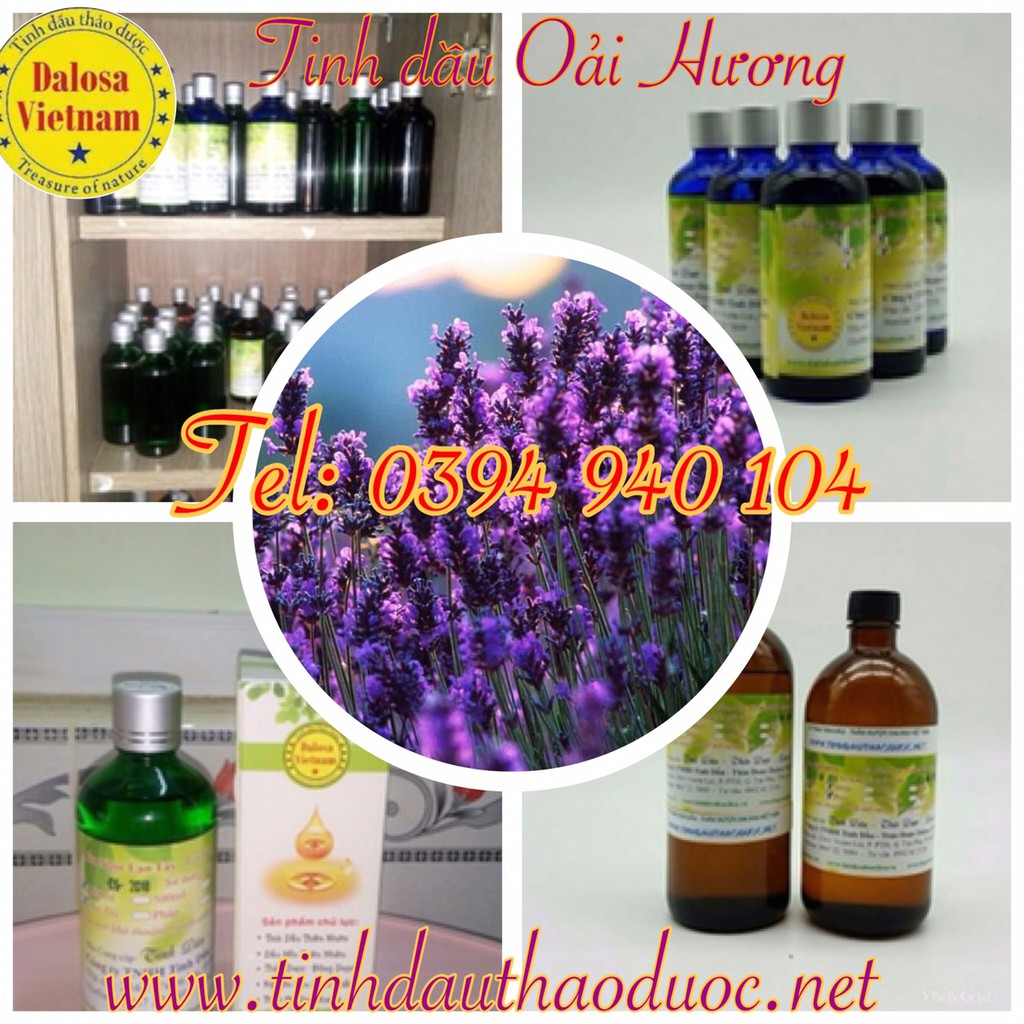 TINH DẦU OẢI HƯƠNG NGUYÊN CHẤT 1000ml