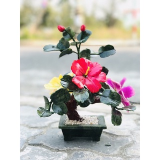 Cây hoa đá phong thuỷ 25cm