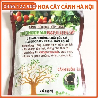 Men ủ vi sinh trichoderma gói 1kg