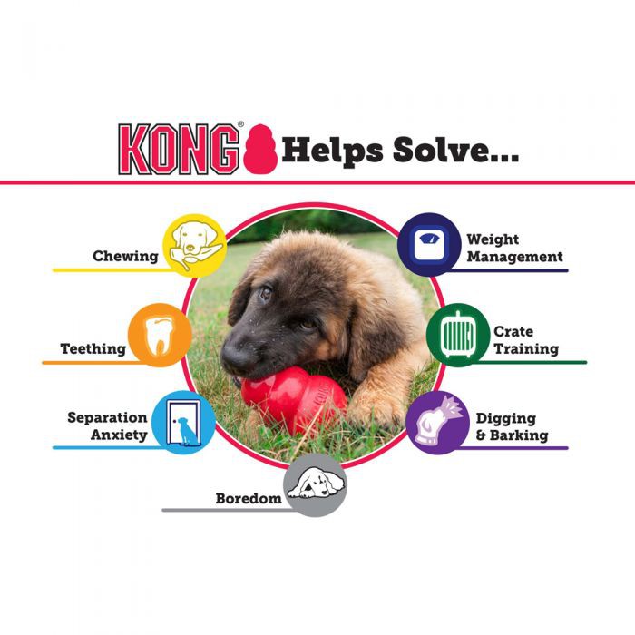 Mô Hình Đồ Chơi Chú Chó Nhỏ Kiểu Cổ Điển Hong Kong T4