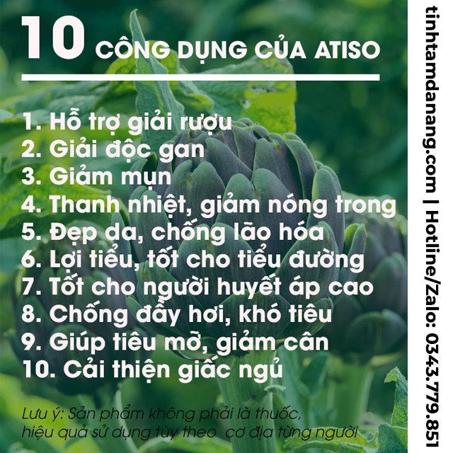 Cao nước atiso Ngọc Duy Đà Lạt , hộp 10 ống x 10ml đặc sản làm quà hỗ trợ thanh nhiệt giải độc
