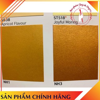 Nhũ vàng nhũ đồng sơn nước 1 kg