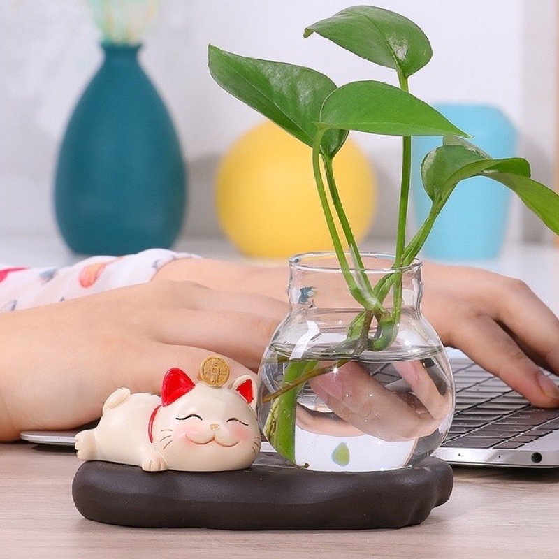 Chậu trồng cây thủy sinh mini, chậu thủy tinh để bàn