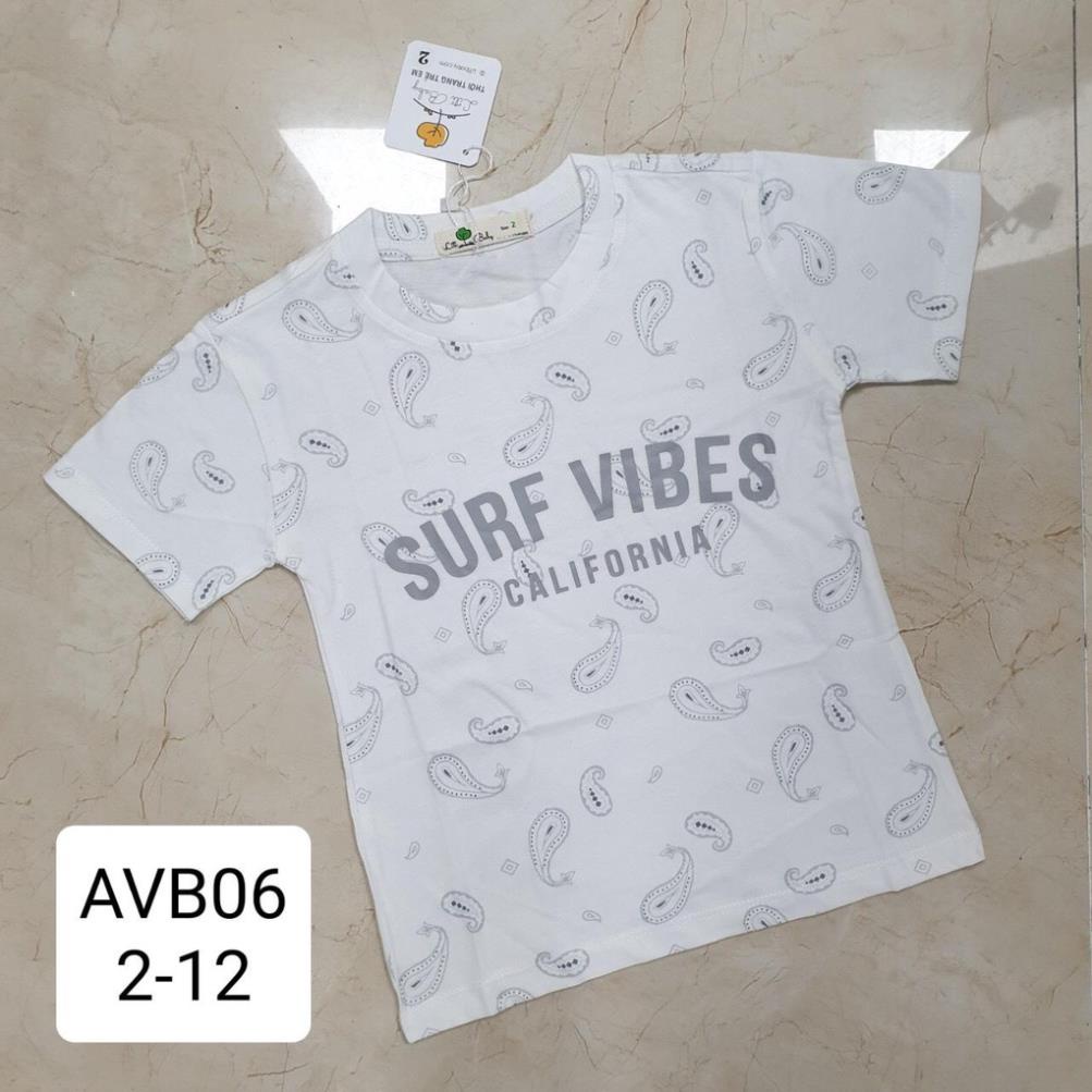 Áo LITIBABY chất vải cotton vibes AVB01