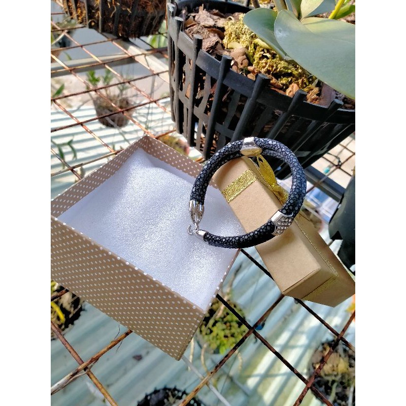 Vòng đôi cá đuối