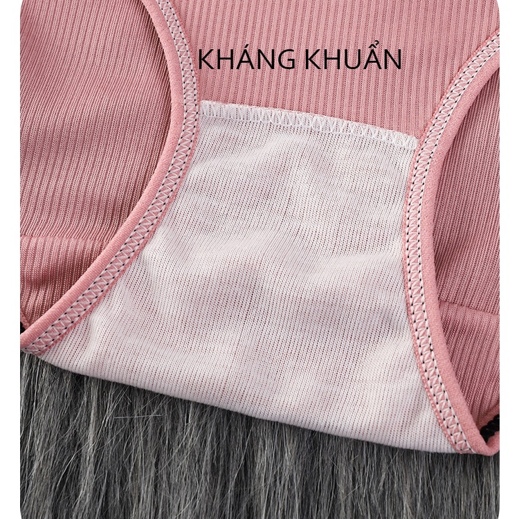 Quần lót nữ cotton gân tăm BRALUNE , quần chíp nữ kháng khuẩn gắn nơ mã 101