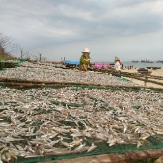 500gr khô cá cơm non