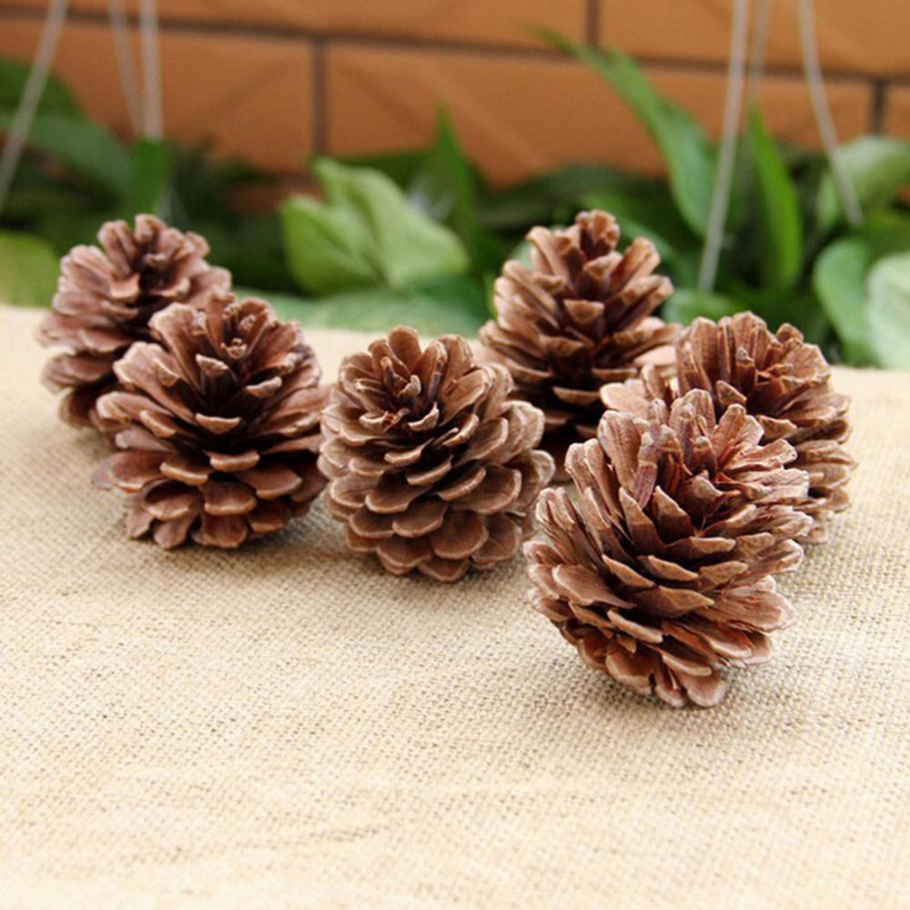 Quả Thông Khô Trang Trí Noel