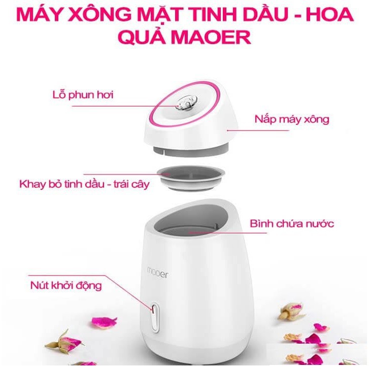 MÁY XÔNG MẶT HOA QUẢ MAOER