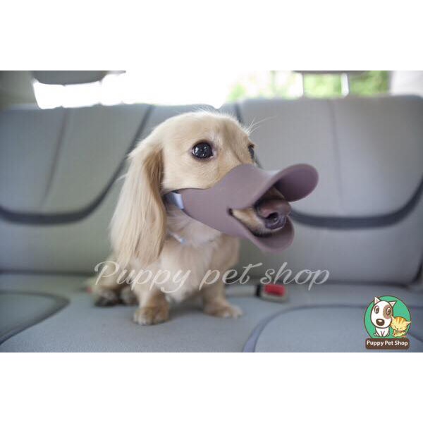 Rọ mõm mỏ vịt caosu