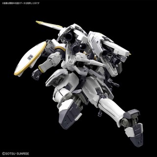 RG Tallgeese EW