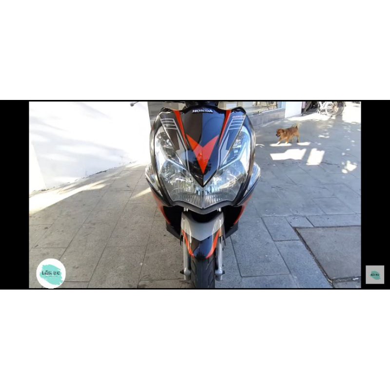 Tem trùm Ab 2011, Tem trùm Ab đầu bò đỏ đen bạc