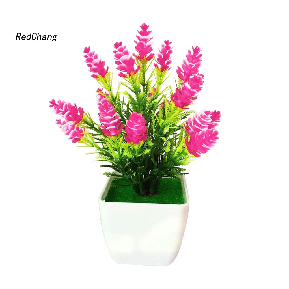 ♧Phụ Kiện Chuyên Dụng Dành Cho Fzhh Fzhh♧1 Cây Thông Nhân Tạo Hình Nón Trang Trí Nhà Cửa