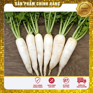 Hạt Giống Củ Cải Trắng(20gr)