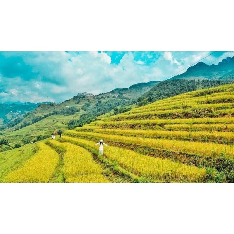 Nón Lá Loại Nhỡ Cho Trẻ Em Và Người Lớn